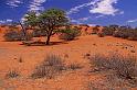 012 Kalahari woestijn